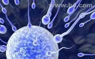 51岁能不能做试管婴儿？大龄自卵怀孕成功率不高