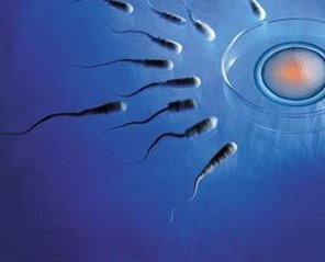 在天津和睦家医院做试管婴儿要多少钱？成功率怎么样？附试管怀孕机构名单一览