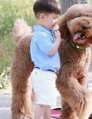 10月快讯！马来西亚第三代试管婴儿技术介绍，看过来!