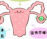 国内试管婴儿选择合法吗 美国试管能选择吗