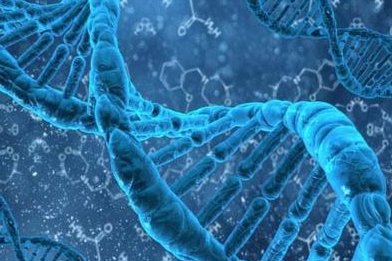 胚胎移植手术全过程中比较紧张会损伤胚胎吗？