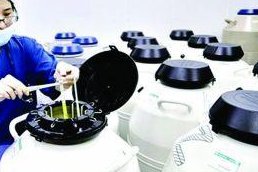 泰国试管的三代技术怎么样？有哪些技术？