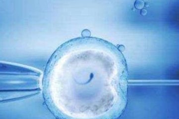 无子宫有卵巢如何生孩子？